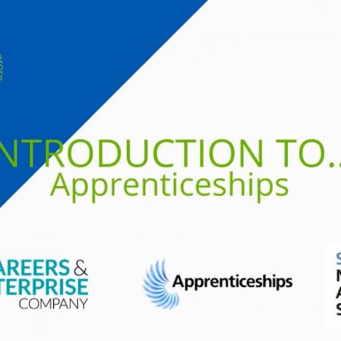 Introduction to apprenticeships title screen