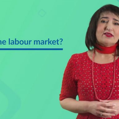 What is the labour market screen grab