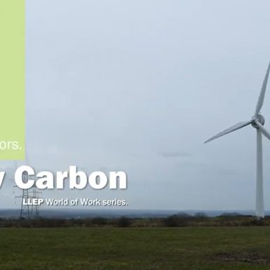 Wow low carbon thumbnail