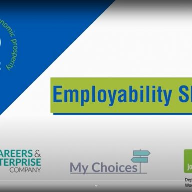 Employability Skills title screen