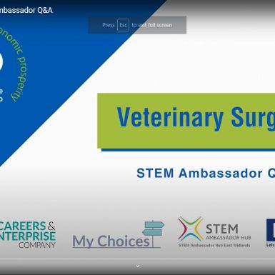 Veterinary Surgeon STEM ambassador title screen