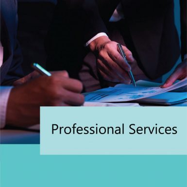 Professional_Services